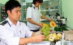 Thông tư mới về kiểm dịch thực vật nội địa