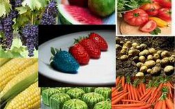 Thực phẩm biến đổi gen phải ghi nhãn