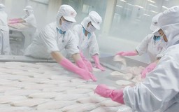 "Cuộc chiến” với nước ngoài của Bộ NN&PTNT