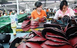 DN da giày kêu “sức ép rất lớn” do Bộ NNPTNT