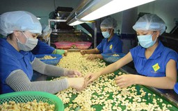 Hội nhập và nguồn vốn “lạ”