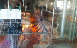 Dự thảo Nghị định làm khó DN nhỏ?