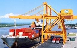 Không bảo dưỡng container cũng có thể bị phạt