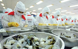 Công bố toàn văn Hiệp định Thương mại tự do EU-Việt Nam