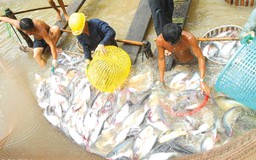 Việt Nam có thể khởi kiện Mỹ ra WTO?