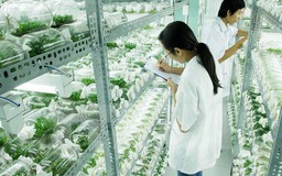 21 lĩnh vực sẽ cổ phần hóa các đơn vị sự nghiệp