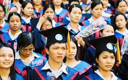 Thủ tục như thế "thì không Harvard nào vào VN" 