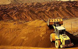 Doanh nghiệp gặp khó vì lần đầu nhập khẩu… đất