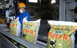 DN phân bón lo đóng cửa vì Thông tư 41 