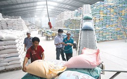 Hạt gạo vướng nút thắt Nghị định 109