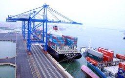 Sẽ thêm 10 Nghị định về biểu thuế nhập khẩu ưu đãi đặc biệt