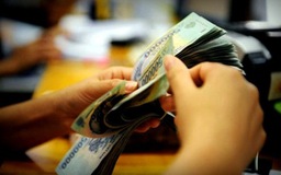 DN than với Chính phủ: Giá thuê đất cao quá, chịu không nổi 