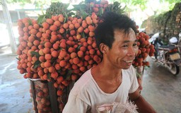 Quả vải xuất khẩu bất ngờ gặp vướng ở Nội Bài