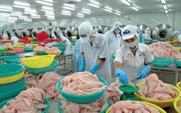 Kiến nghị 11 biện pháp gỡ khó xuất khẩu thủy sản