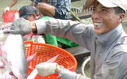 Bộ NNPTNT thay đổi hẳn quan điểm về nghị định cá tra