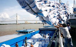 Thương hiệu gạo quốc gia và mâu thuẫn chính sách