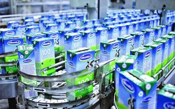 ‘Không ai xóa đi con bò sữa của chính mình’