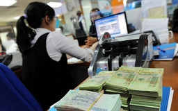 Hậu kiểm ít nhất 80% hồ sơ hoàn thuế