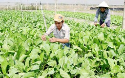 'Tự làm khó nhau, thua ngay trên sân nhà'