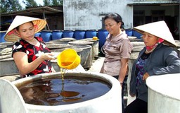 Doanh nghiệp nước mắm truyền thống ‘không khởi kiện’