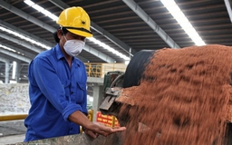 Doanh nghiệp bức xúc vì không thu 5% thuế VAT