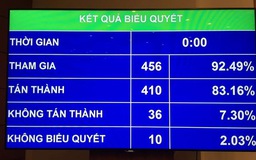Quốc hội chốt lại 243 ngành nghề kinh doanh có điều kiện
