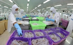 Chính phủ không đợi sửa Nghị định 38
