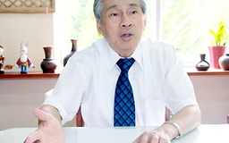Những sứ mệnh Việt kiều