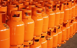 Nghị định 19 can thiệp quá sâu vào hoạt động của DN