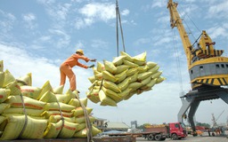 Xin phép xuất khẩu gạo tốn thời gian, tốn chi phí