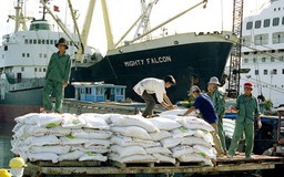 Thông tư 35 đưa doanh nghiệp vào thế mạo hiểm