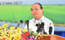 Thủ tướng: Không trao nhiều quyền cho Hiệp hội Lương thực