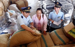 Chính phủ liên tục yêu cầu, Bộ vẫn chưa thực hiện