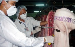 Có 'giải cứu' được thịt lợn bằng điều kiện kinh doanh?