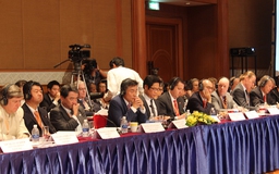 Doanh nghiệp FDI nêu hàng loạt vướng mắc với Phó Thủ tướng