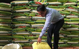 Bán phân bón phải có bằng cấp: Dễ cho người quản lý