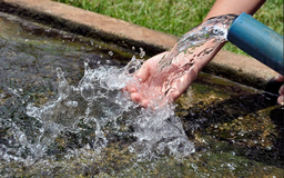 Thu hồi sao không bồi thường?