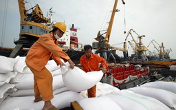 Cuộc chiến gạo đến hồi nóng và ‘thách thức 109’ của Việt Nam