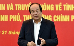 Tổ công tác của Thủ tướng: Chấm dứt ‘thủ tục nhập khẩu dài 3 tháng’