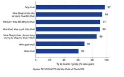 'Vẫn e sợ thủ tục hải quan và gặp khó với thủ tục thuế'