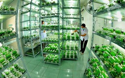 Việc vòi vĩnh doanh nghiệp vẫn 'rất phổ biến'