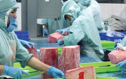 Những cải cách khó khăn nhất đang được Chính phủ thúc đẩy mạnh mẽ