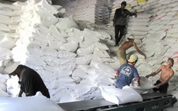 Đầu năm bàn chuyện “cởi trói” cho xuất khẩu gạo