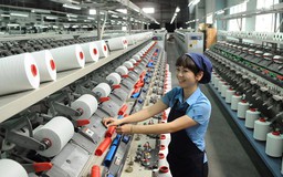 5 năm, TPHCM có thêm 66.000 doanh nghiệp