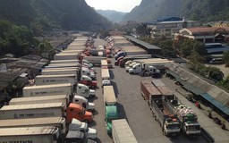 Sau công điện của Thủ tướng, Lạng Sơn hết ùn ứ nông sản