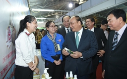 Chuyện dựng ‘tổ đại bàng’ ở Bến Tre