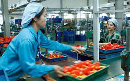 Cải thiện Chỉ số khởi sự kinh doanh ít nhất 40 bậc