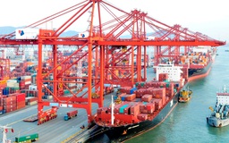 135.000 lô hàng kiểm tra chuyên ngành, chỉ 0,2% vi phạm