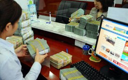 Ngành điều đề xuất gói tín dụng 800 triệu USD