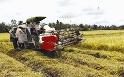 Cải cách quy định XK gạo: Đáng mừng nhưng còn đó những câu hỏi